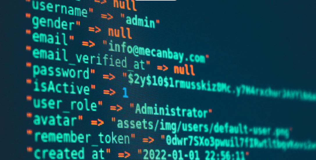 Digital system data and software interface